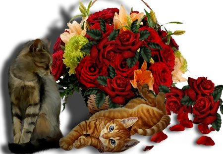 Enjoy roses and cats - enjoy, and, roses, cats