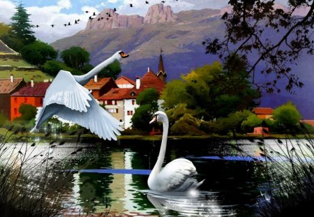 swan lake lovers - swan, lake, lovers