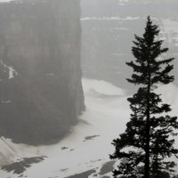 Snow in July Banff Alberta 03