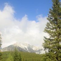 Snow in July Banff Alberta 06