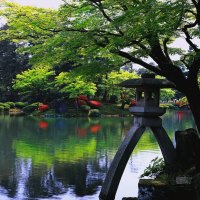 Zen Garden