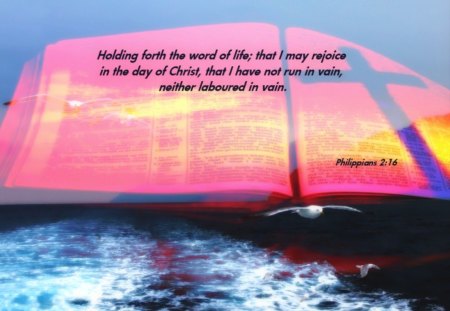 Holding on - word, ocean, seagulls, god, truth, jesus, scriptures, life, holy spirit, bible