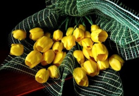 Yellow tulips for my Annie - sunny, tulips, petals, tenderness, light, flowers, yellow, brightness