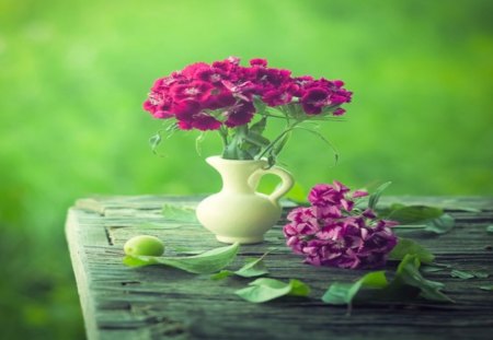 .::Evening Elegance.:: - nature, elegance, love, purple, evening, wall, green, flowers