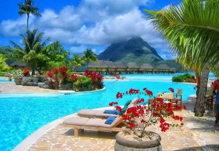 Place for relax - nice, sky, tropics, water, sunbed, bungalows, crystal, clouds, holiday, resort, relax, palm tree, mountain, palms, summer, tropical, place, huts, lovely, exotic, nature, bright, blue, beautiful, rest, flowers, pool, destination