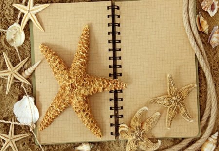 Shells - beautiful, sea, cool, sand, harmony, starfish, shells, notebook, nice