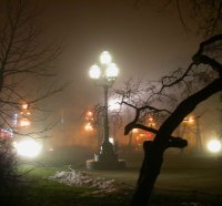 NIGHT TIME IN THE PARK