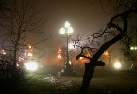 NIGHT TIME IN THE PARK - silouettes, electricity, evening, illumination, darkness, gardens, artificial light, lamps, parks, lamp posts, trees