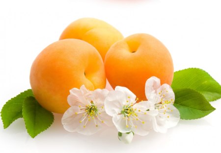 Flowers and apricots - fruit, apricot, flower, leaf