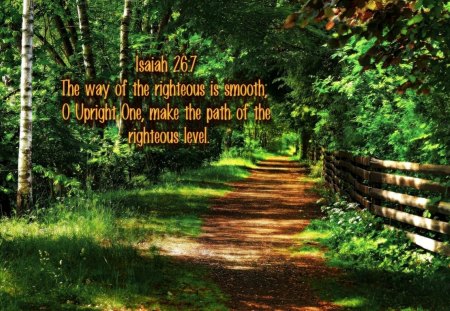 Make the Path - holy spirit, jesus, walking, god, forest, paths, bible verses, path, scriptures, nature, bible