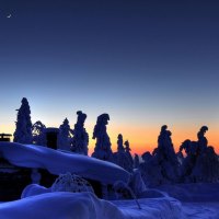 Frozen Trees Sunset