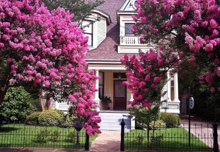 Pretty Victorian Home in the Spring - trees, victorian, pink, house, yard, spring