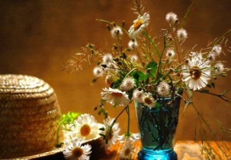 Daisies and a Straw Hat - hat, photography, straw, daisy, flower, art, still life