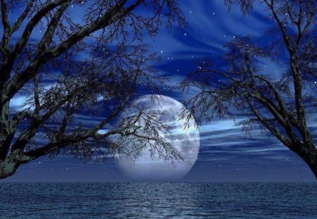 Moonlight Lake - moon, sky, lake, stars, trees, evening, night