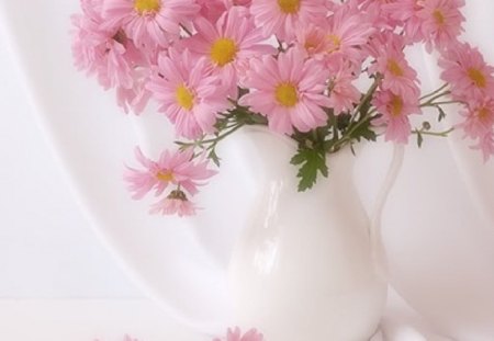 Still Life - flowers, vase, still life, pink