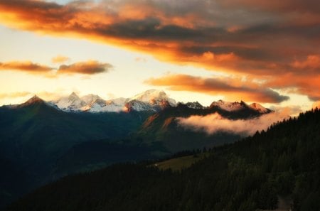 Golden Sunset - sky, nature, sunset, golden