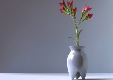 DAINTY AND PRETTY - flowers, still life, vases, table decoration