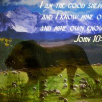 The Lord is My Shepherd