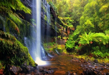 Forest waterfall - nice, falling, trees, greenery, water, summer, lovely, waterfall, nature, fall, forest, beautiful, green, stones