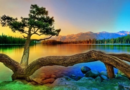 colorful landscape - trees, water, mountains, rocks