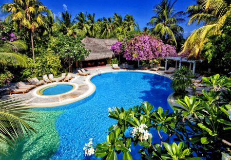 Lovely view to the tropical pool - relax, pretty, sunny, summer, bushes, flowers, holiday, bungalow, exotic, palm trees, hotel, nice, vacation, mirrored, sunbed, tropical, nature, clear, floral, blue, cabin, swimming, view, hut, sky, cottage, branches, palms, beautiful, lovely, rest, tropics, rays, pool, bright