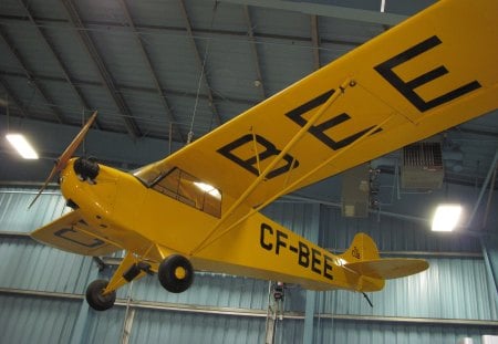 1936 Aircraft  CF - BEE at Alberta museum  - airplane, aircraft, black, yellow, Airfields, museum, wheels