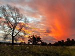 Country Sunset