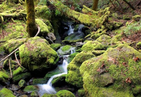 beautiful mountain cascade - moss, stones, trees, waterfall