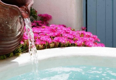 pouring water - pitcher, flowers, basin, water