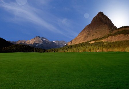 beautiful grass field - field, forest, mountain, grass