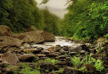 beautiful mountain stream - mist, stream, forest, mountain, stones