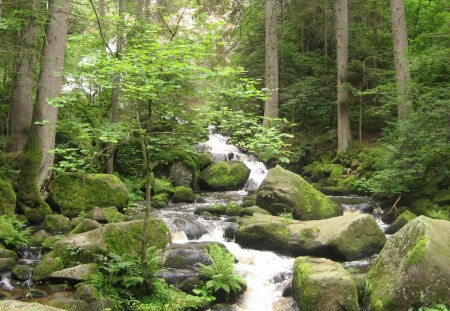 cascading stream in triberg germany - stream, cascade, stones, forest