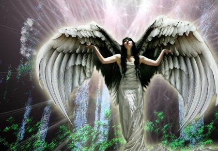 Glowing Angel - white, glow, angel, light, wings