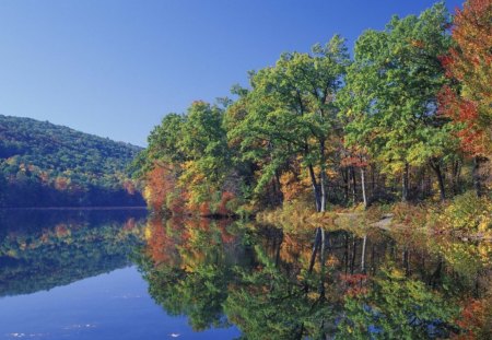 hidden lake - trees, water, reflection, nature