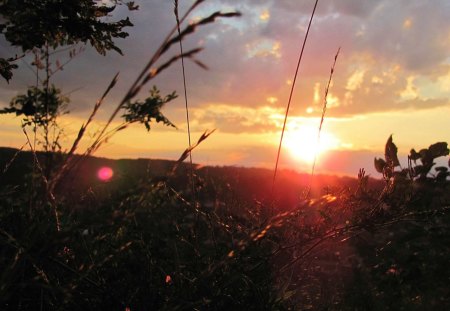 Sunset in the Brush - nature, sky, clouds, sunset, grass