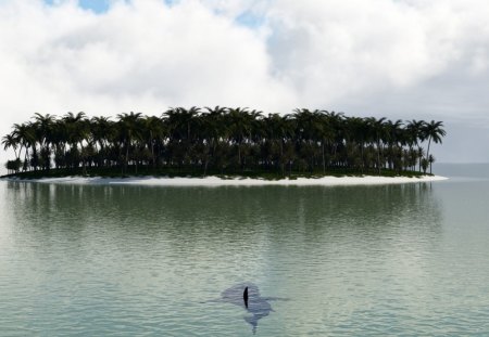 Palm island - palm, ocean, water, island