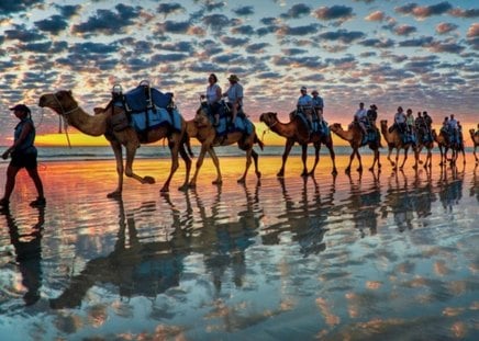 camel safari - clouds, camel, coast, bedouin, sky