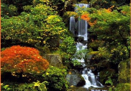 Beautiful Japanese Garden - beautiful, garden, nature, japanese