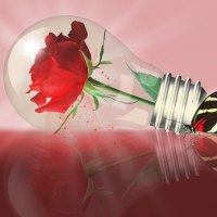 â™¥ Light Bulb with Rose and Butterflyâ™¥