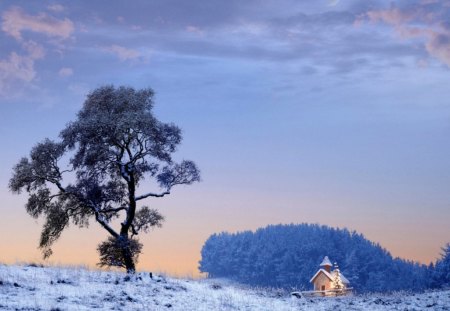 GETTING AWAY FROM IT ALL - trees, winter, wilderness, snow, christmas, homes, forests, landscapes, cottages