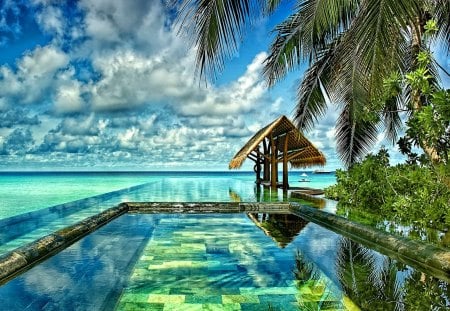 Pool in Maldives - relax, amazing, beach, reflection, crystal, holiday, exotic, nice, emerald, sky, clouds, branches, beautiful, vacation, mirrored, lovely, rest, palm, tropics, wind, maldives, nature, tropical, pool, bright, clear, palm tree