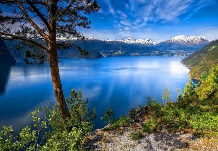 Lake lights - summer, blue, reflection, crystal, mountain, flowers, shore, riverbank, view, lake, nice, sky, clouds, greenery, beautiful, mirrored, lovely, tree, lakeshore, river, nature, lights, clear