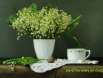 lily of the valley for my dear friend Katica