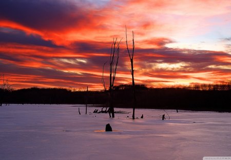 beautiful sky over a frozen lake - red, lake, clouds, trees, ice