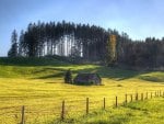 cottage on a hilly field