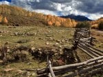 rugged fence around a pasture