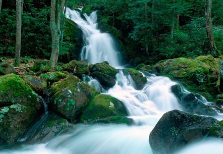 beautiful waterfall in the great smokey mountains - stones, forest, mountain, waterfall