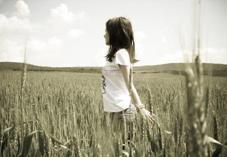 In a Field of Wheat - sexy, wheat, female, girl, field, in, model, of, a, cute, babe