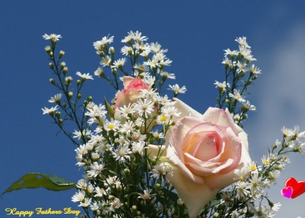 Father's Day Roses - roses, nature, holiday