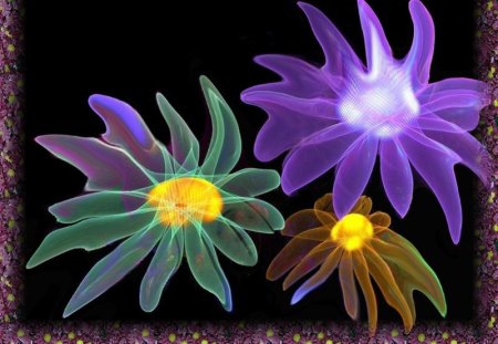 flowers gone wild - neon, colors, flower, wild